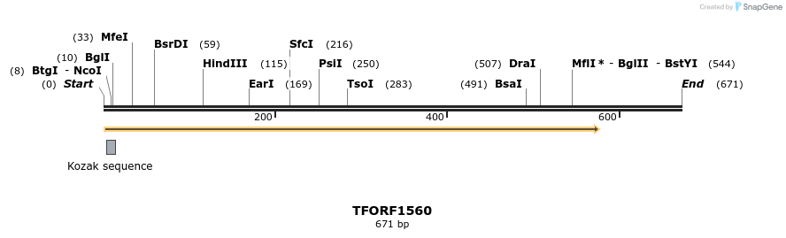 281534_map
