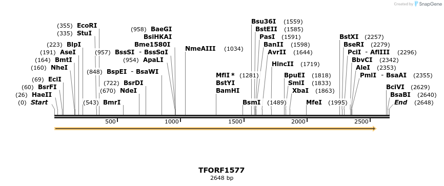 281537_map