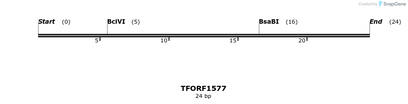 281538_map