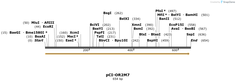 28154_map