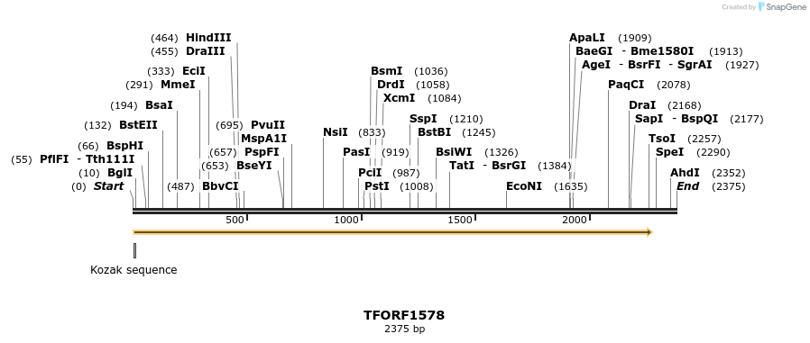 281540_map