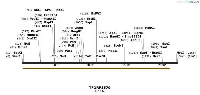 281543_map