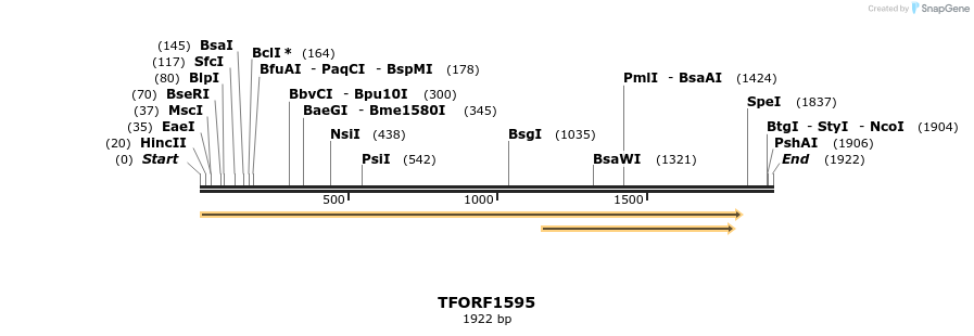 281546_map