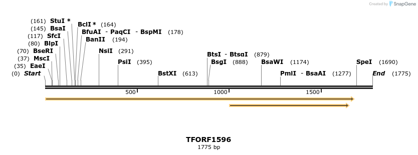 281549_map