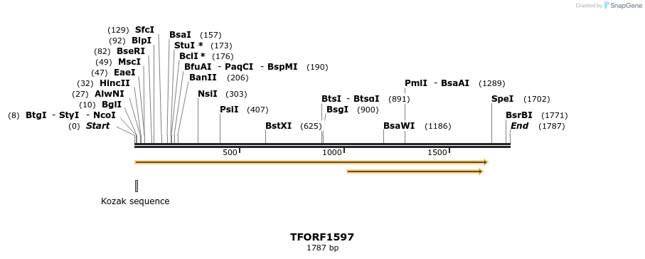 281552_map