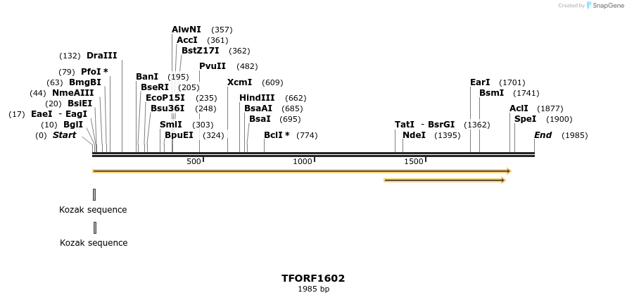 281555_map