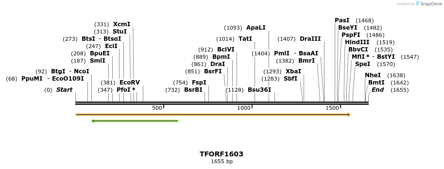 281558_map