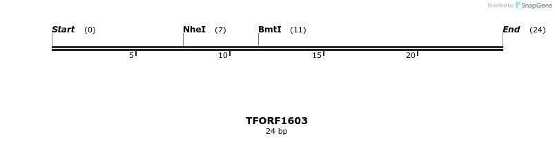 281559_map
