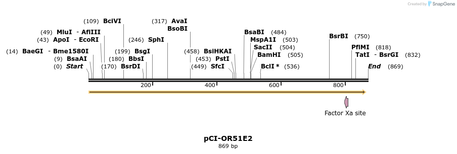 28156_map
