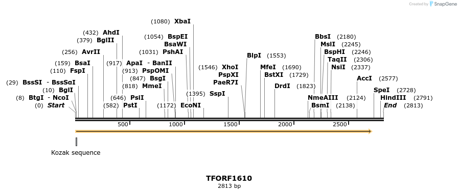 281561_map