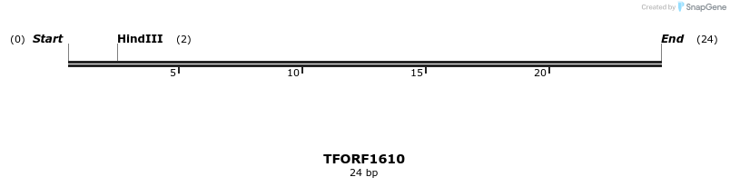 281562_map