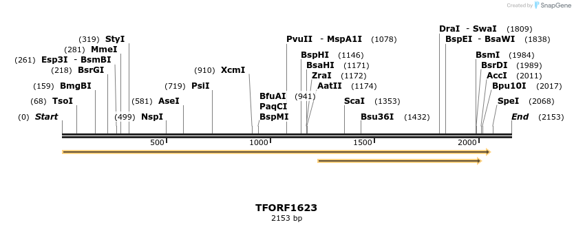 281564_map