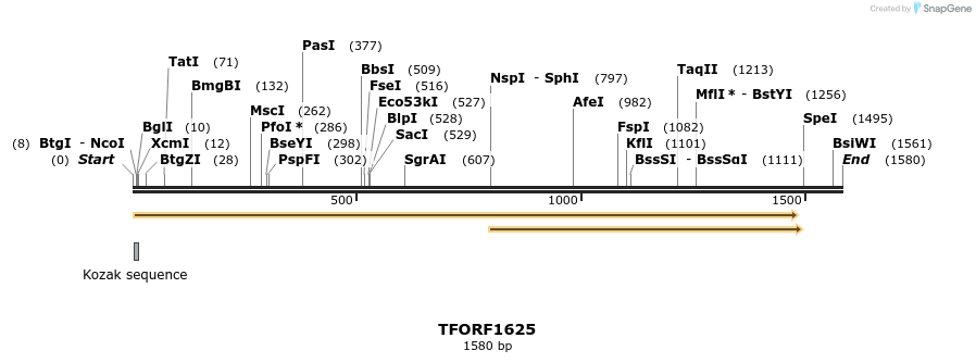 281567_map