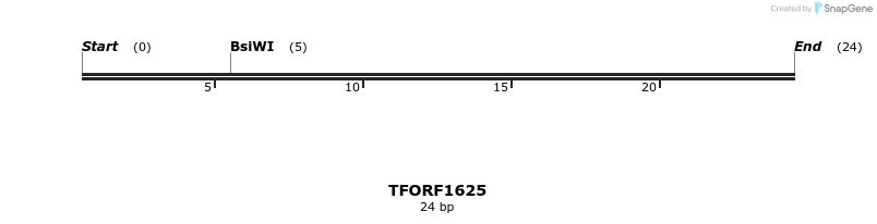 281568_map