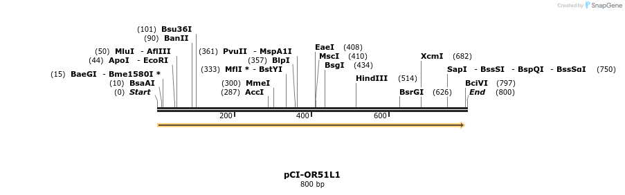 28157_map