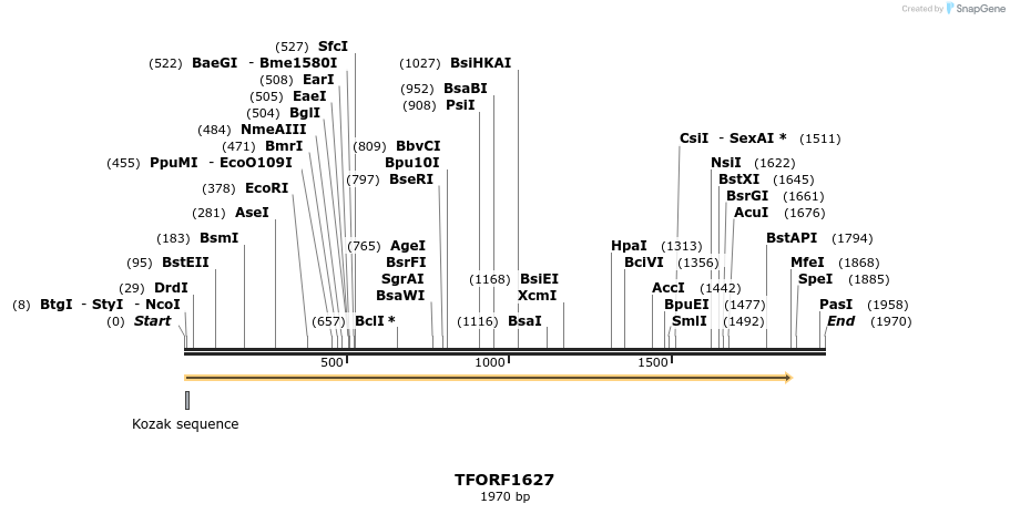 281570_map