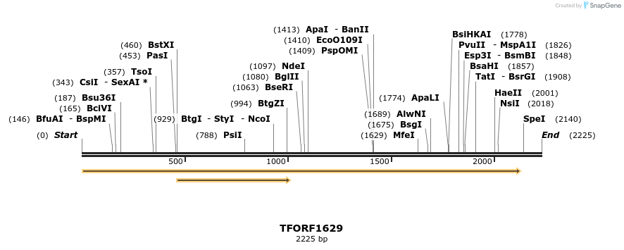 281573_map