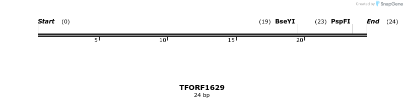 281574_map