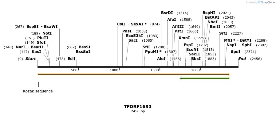 281579_map
