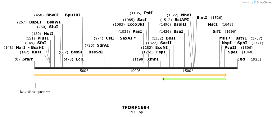 281582_map