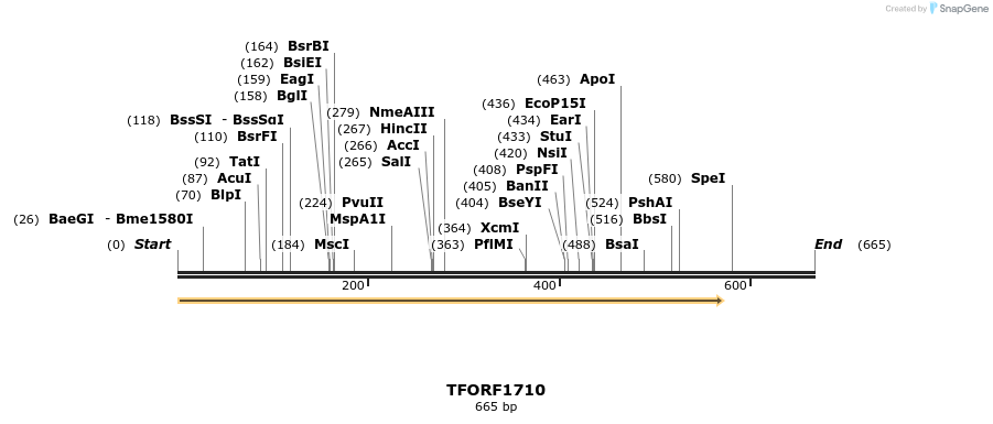 281585_map