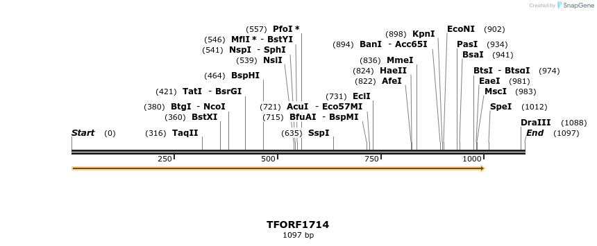 281588_map