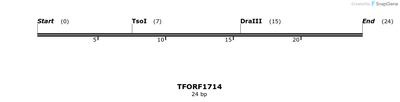281589_map