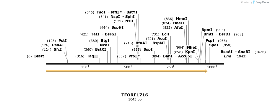 281591_map