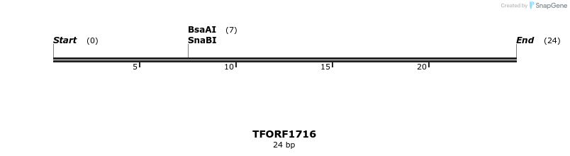 281592_map