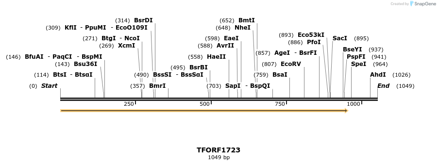281594_map