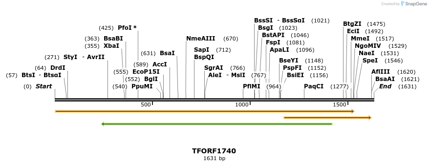 281597_map