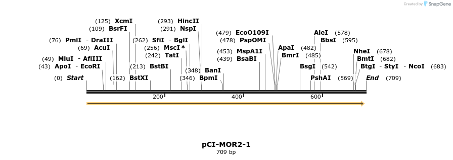 28160_map