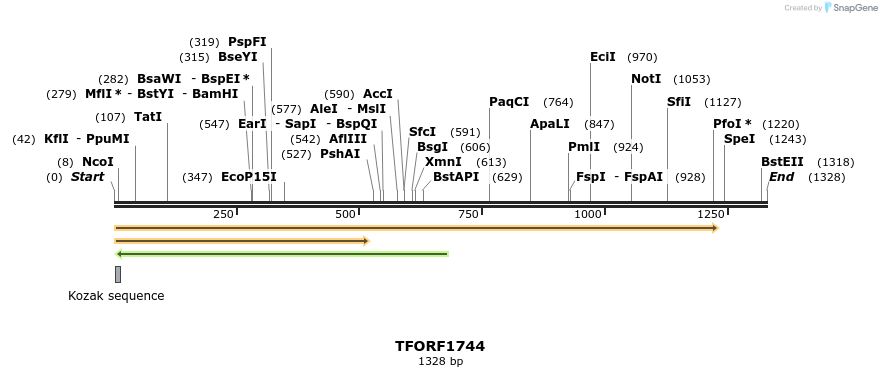 281600_map
