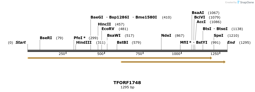 281603_map