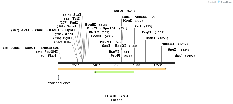 281606_map