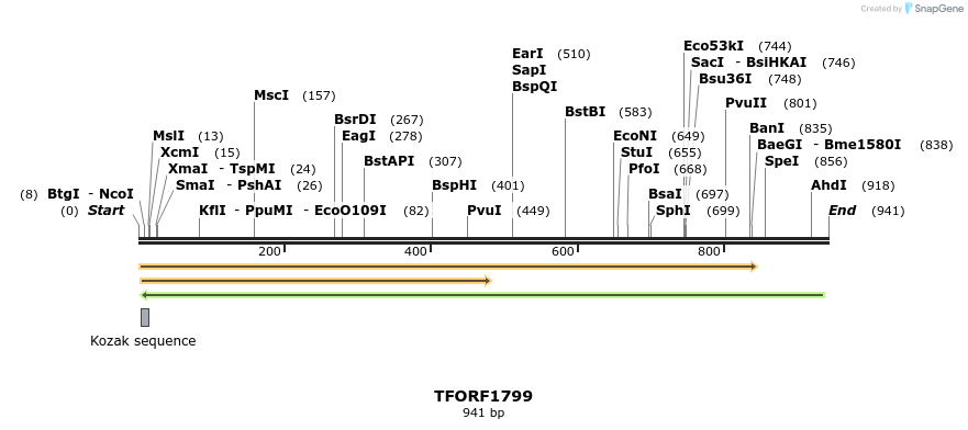 281609_map