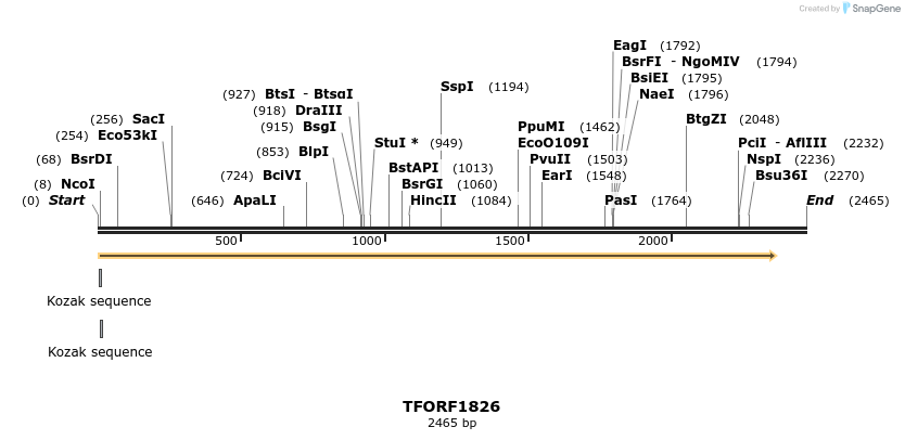 281615_map