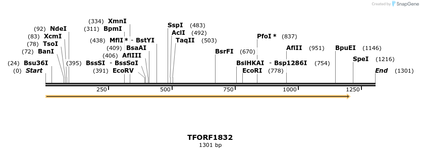 281618_map