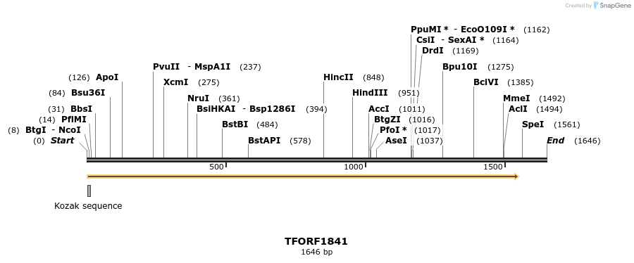 281624_map
