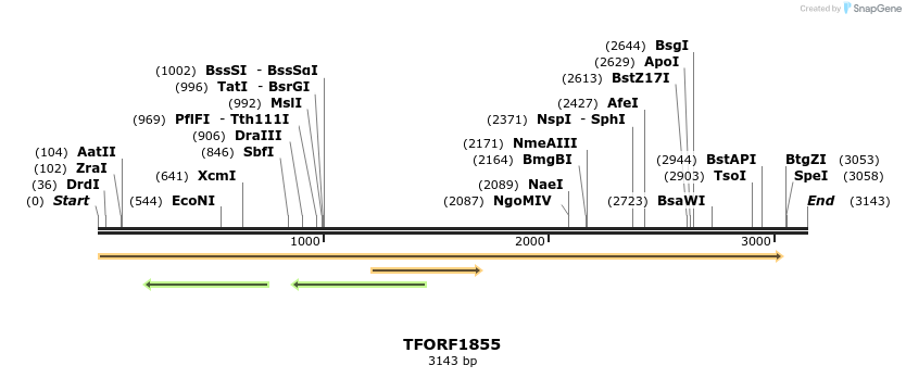 281627_map