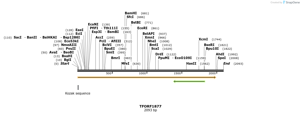 281630_map