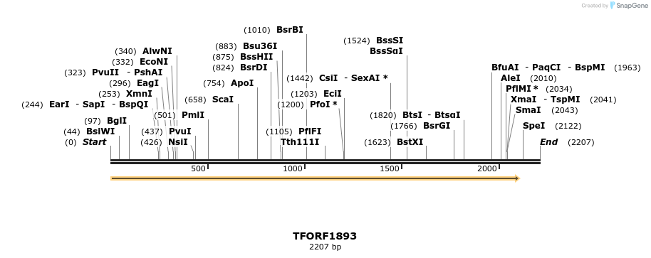 281633_map