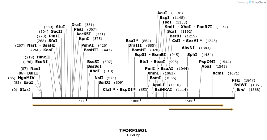 281636_map