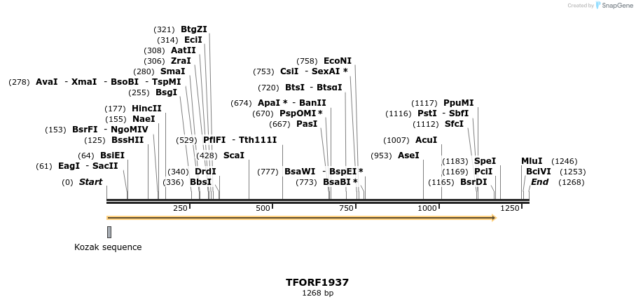 281642_map