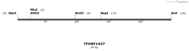 281643_map