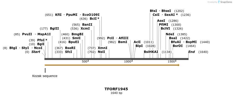281645_map