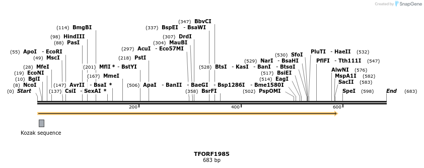 281648_map