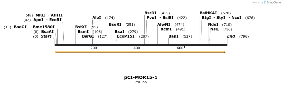 28165_map