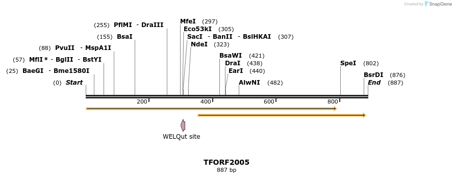 281651_map