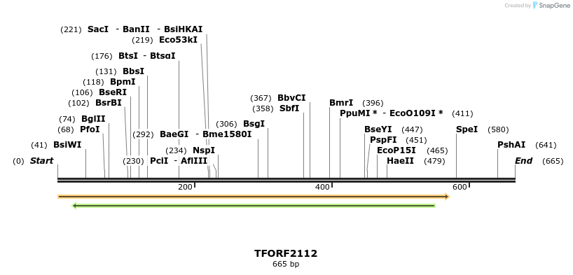 281654_map